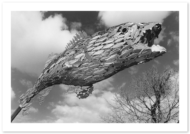 Big Fish, School of Fish, Thomas Sterner, Havre de Grace, MD