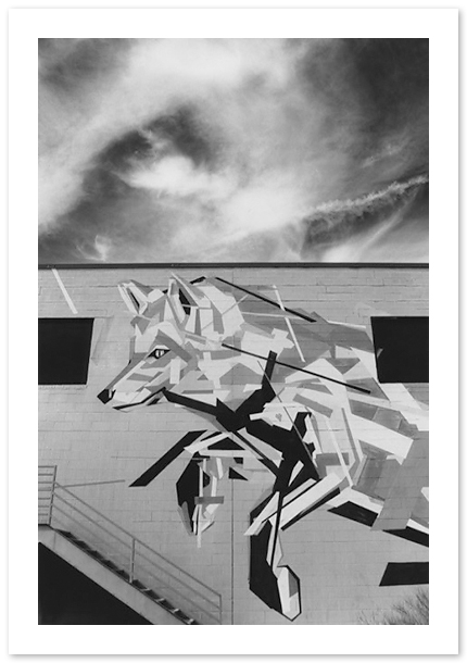 Fox, Arlin Graff, Annapolis, MD