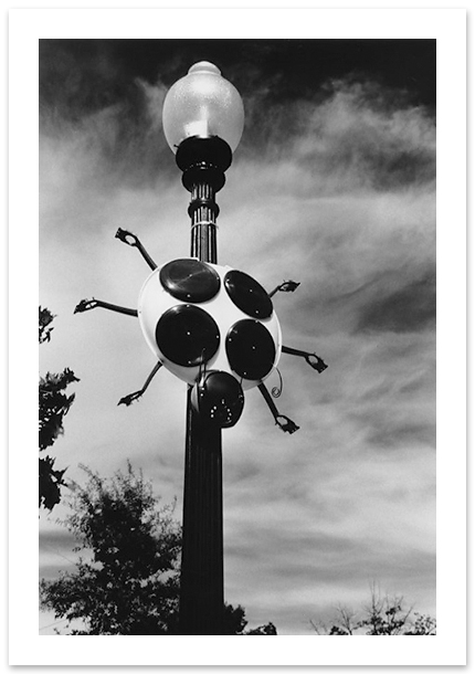 Ladybug, Susan Champeny, Washington, DC