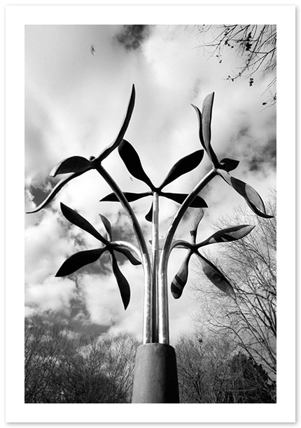 Standing Vase with Five Flowers, James Surls, Hamilton Township, NJ