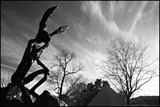 Thinker on a Rock, Barry Flanagan, Washington, DC
