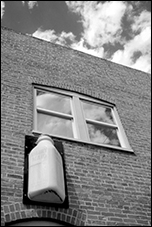 Dairy Maid, Frederick, MD