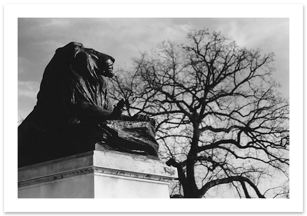Grant Memorial, Lion, Henry Merwin Shrady, Washington, DC