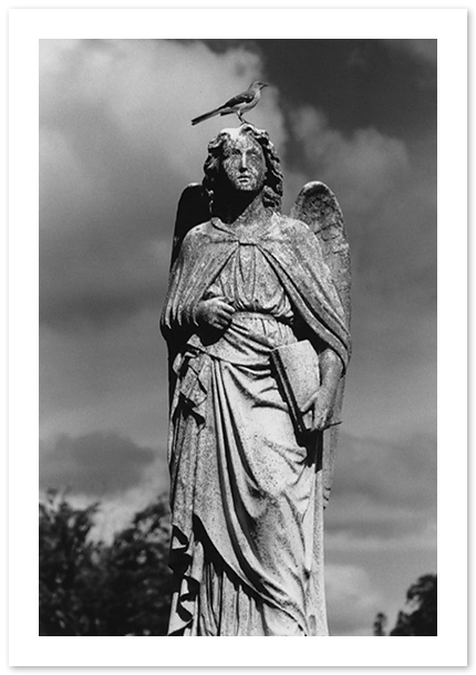 Meyer Monument, Washington, DC