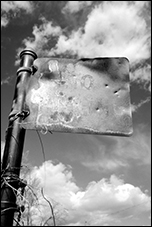 No Parking, Frederick, MD