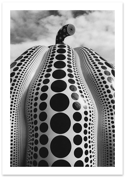 Pumpkin, Yayoi Kusama, Washington, DC