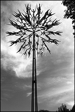 Tree of Life, Pierre Du Fayet, Columbia, MD